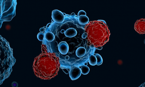 Covid-19, come è nato l’anticorpo che viene dal sangue dei medici di Bergamo