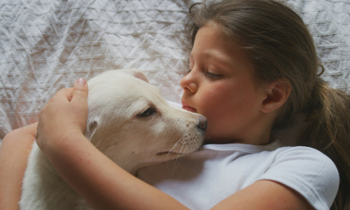 L’autismo e i benefici del rapporto con gli animali