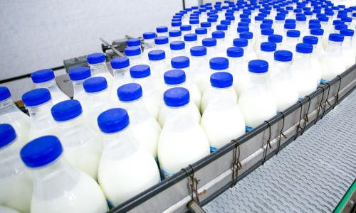 Scatta lallarme latte in Italia: cosa succede e perch