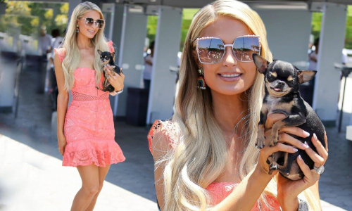 Paris Hilton ingaggia sette medium per animali per ritrovare il suo cane