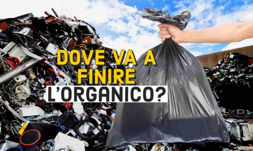 Che fine fanno i rifiuti organici che buttiamo ogni giorno? Ecco dove finiscono